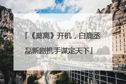 《莫离》开机，白鹿丞磊新剧携手谋定天下