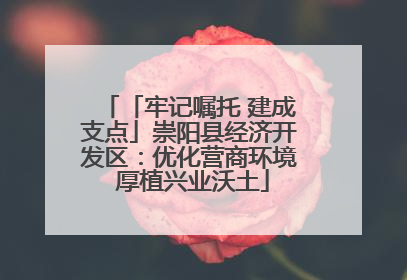 「牢记嘱托 建成支点」崇阳县经济开发区：优化营商环境 厚植兴业沃土