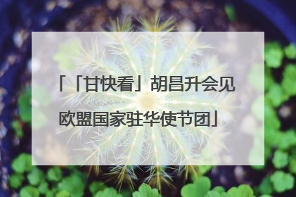 「甘快看」胡昌升会见欧盟国家驻华使节团