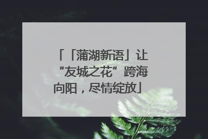 「蒲湖新语」让“友城之花”跨海向阳，尽情绽放