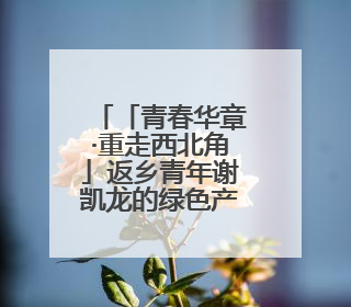 「青春华章·重走西北角」返乡青年谢凯龙的绿色产业梦