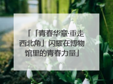 「青春华章·重走西北角」闪耀在博物馆里的青春力量