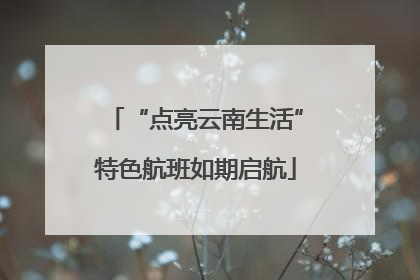 “点亮云南生活”特色航班如期启航