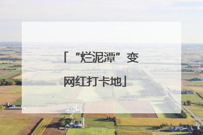 “烂泥潭”变网红打卡地
