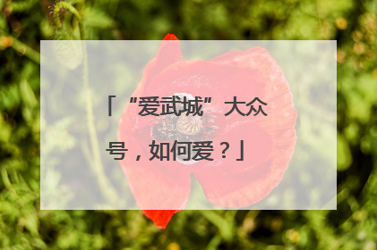 “爱武城”大众号，如何爱？