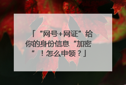 “网号+网证”给你的身份信息“加密”！怎么申领？