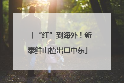 “红”到海外！新泰鲜山楂出口中东