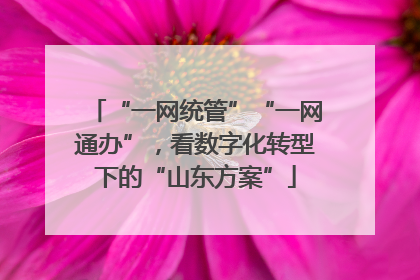 “一网统管”“一网通办”，看数字化转型下的“山东方案”