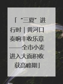 “三夏”进行时｜黄河口奏响丰收乐章——全市小麦进入大面积收获高峰期