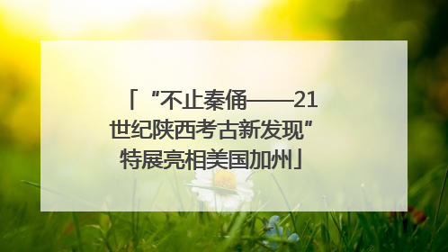 “不止秦俑——21世纪陕西考古新发现”特展亮相美国加州