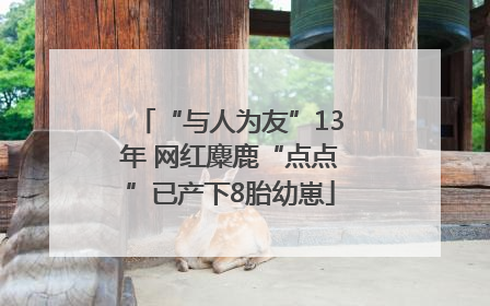 “与人为友”13年 网红麋鹿“点点”已产下8胎幼崽