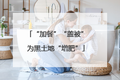 “加餐”“盖被” 为黑土地“增肥”