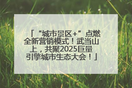 “城市景区+”点燃全新营销模式！武当山上，共聚2025巨量引擎城市生态大会！