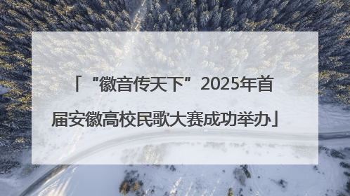 “徽音传天下”2025年首届安徽高校民歌大赛成功举办