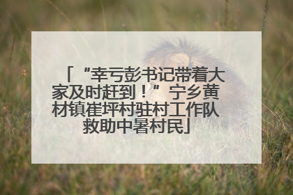“幸亏彭书记带着大家及时赶到！”宁乡黄材镇崔坪村驻村工作队救助中暑村民
