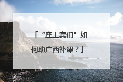 “座上宾们”如何助广西补课？