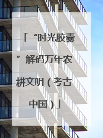 “时光胶囊”解码万年农耕文明（考古中国）