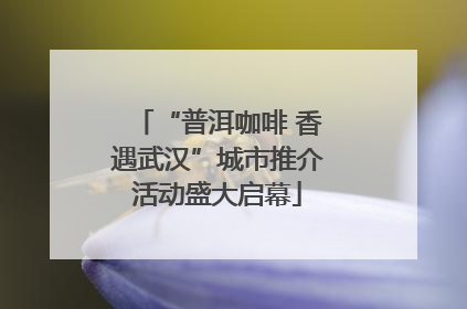 “普洱咖啡 香遇武汉”城市推介活动盛大启幕