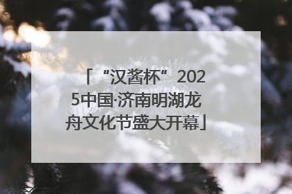 “汉酱杯”2025中国·济南明湖龙舟文化节盛大开幕