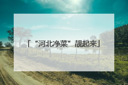 “河北净菜”靓起来