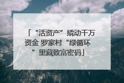 “活资产”撬动千万资金 罗家村“绿循环”里藏致富密码