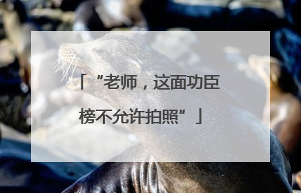 “老师，这面功臣榜不允许拍照”