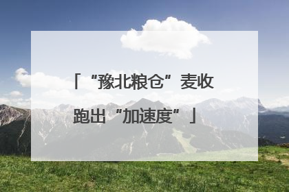 “豫北粮仓”麦收跑出“加速度”