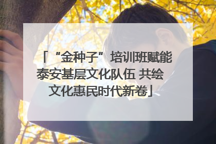 “金种子”培训班赋能泰安基层文化队伍 共绘文化惠民时代新卷