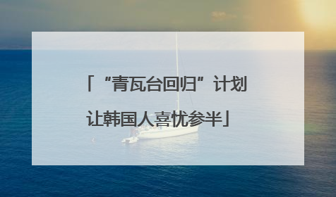 “青瓦台回归”计划让韩国人喜忧参半