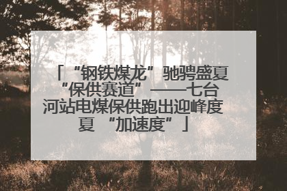 “钢铁煤龙”驰骋盛夏 “保供赛道”——七台河站电煤保供跑出迎峰度夏 “加速度”