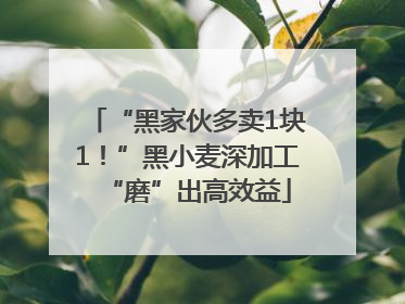 “黑家伙多卖1块1！”黑小麦深加工“磨”出高效益