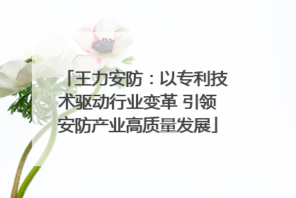 王力安防：以专利技术驱动行业变革 引领安防产业高质量发展