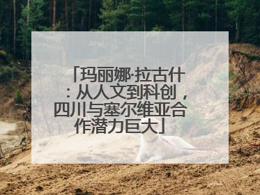玛丽娜·拉古什：从人文到科创，四川与塞尔维亚合作潜力巨大