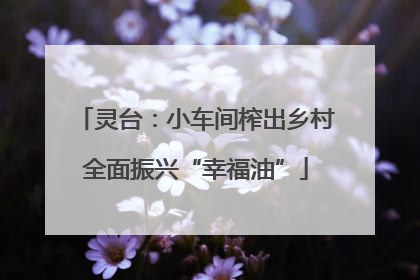 灵台：小车间榨出乡村全面振兴“幸福油”