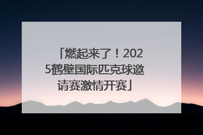 燃起来了！2025鹤壁国际匹克球邀请赛激情开赛