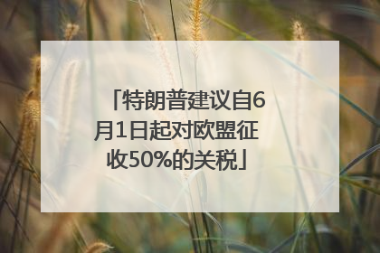 特朗普建议自6月1日起对欧盟征收50%的关税