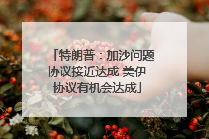 特朗普：加沙问题协议接近达成 美伊协议有机会达成