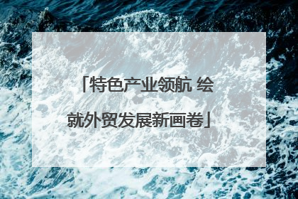 特色产业领航 绘就外贸发展新画卷