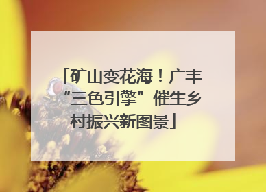 矿山变花海！广丰“三色引擎”催生乡村振兴新图景
