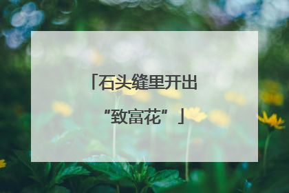石头缝里开出“致富花”