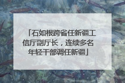 石如根跨省任新疆工信厅副厅长，连续多名年轻干部调任新疆