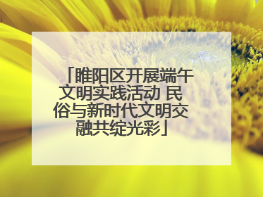 睢阳区开展端午文明实践活动 民俗与新时代文明交融共绽光彩