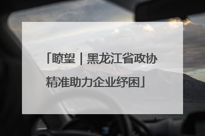 瞭望｜黑龙江省政协精准助力企业纾困