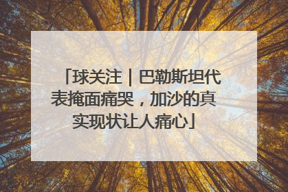 球关注｜巴勒斯坦代表掩面痛哭，加沙的真实现状让人痛心