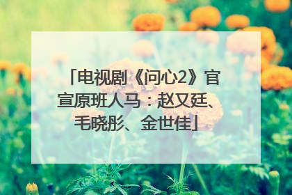 电视剧《问心2》官宣原班人马：赵又廷、毛晓彤、金世佳