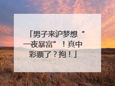 男子来沪梦想“一夜暴富”！真中彩票了？拘！