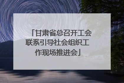 甘肃省总召开工会联系引导社会组织工作现场推进会