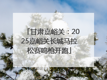 甘肃嘉峪关：2025嘉峪关长城马拉松赛鸣枪开跑