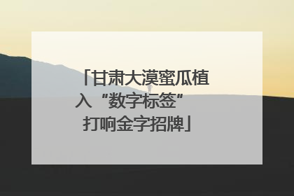 甘肃大漠蜜瓜植入“数字标签” 打响金字招牌