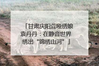甘肃庆阳聋哑绣娘袁丹丹：在静音世界绣出“锦绣山河”